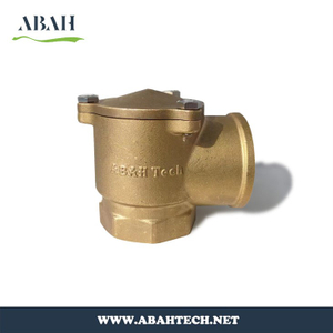 Brass Angel Check Valve Female X Female 1 Inch 1.5 Inch 2 Inch