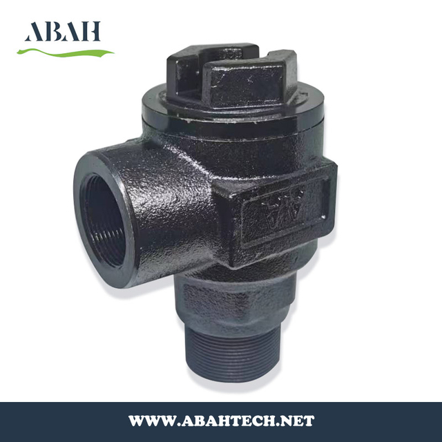 French Type Angel Check Valve