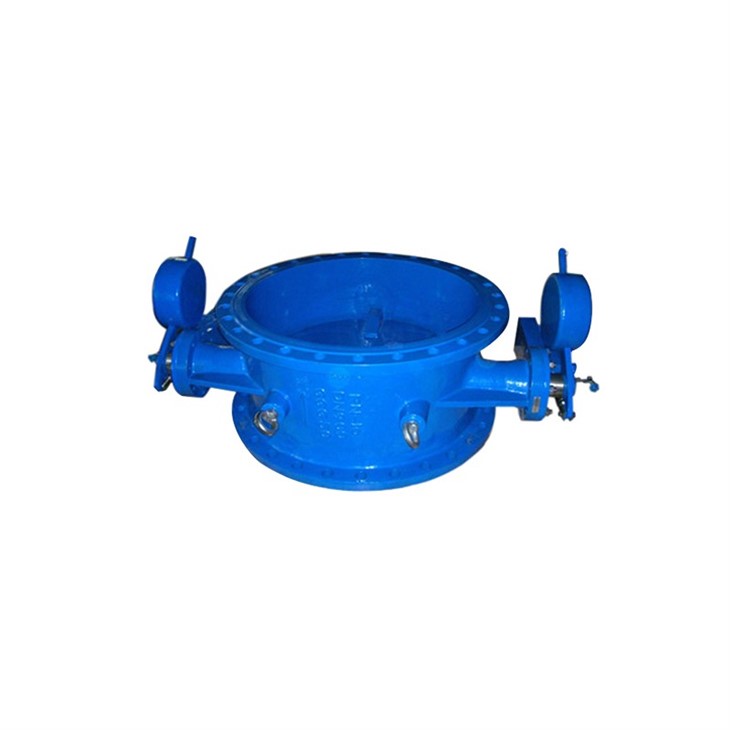 Check Valve(HVA235)