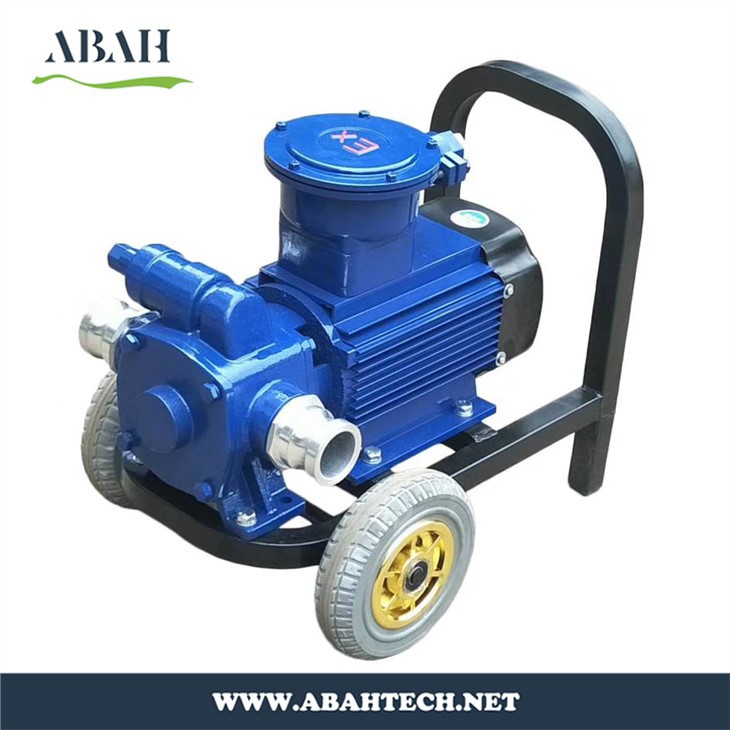 Sliding Vane Pump with Motor