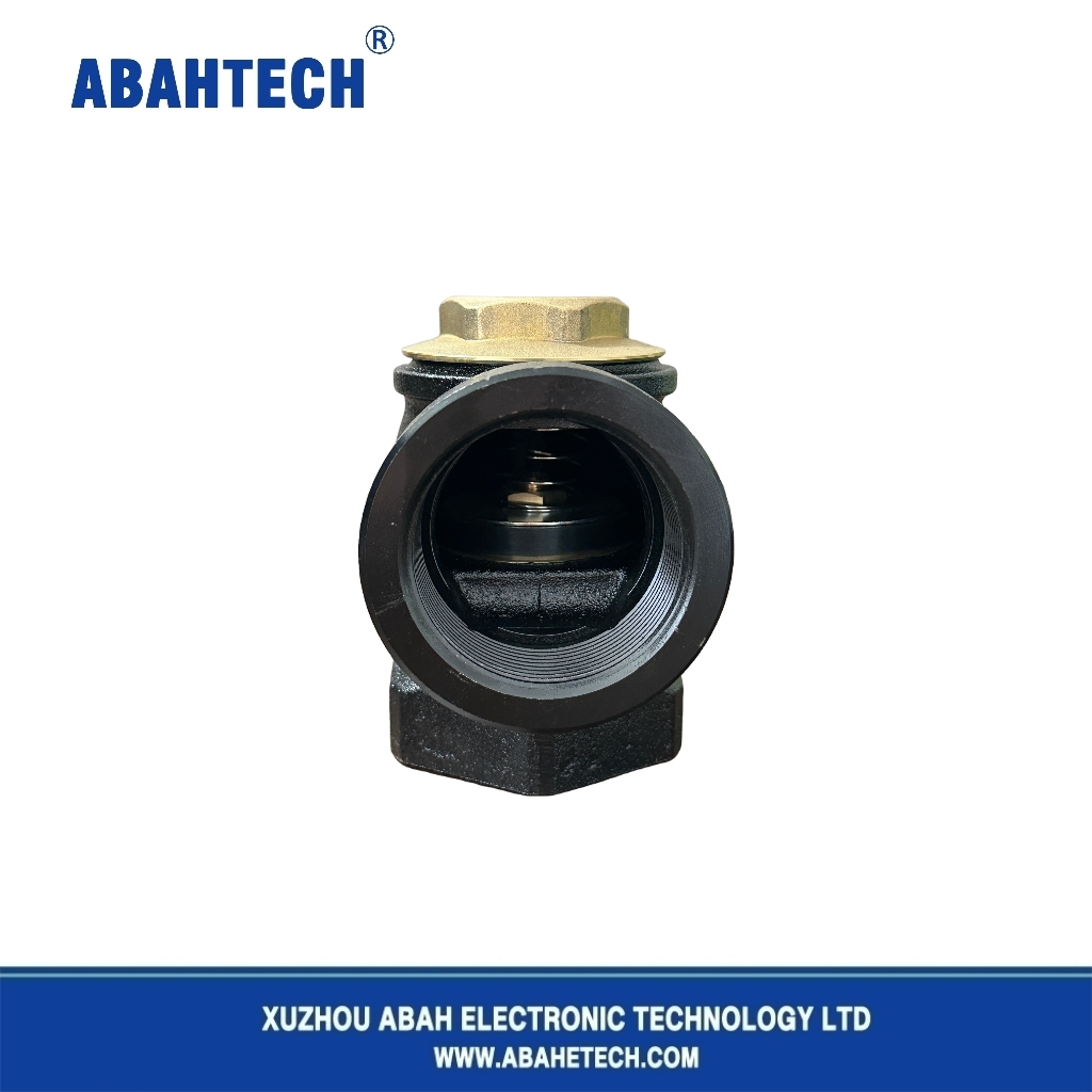 Black Iron Angle Check Valve