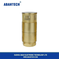 Double Door Copper Foot Valve