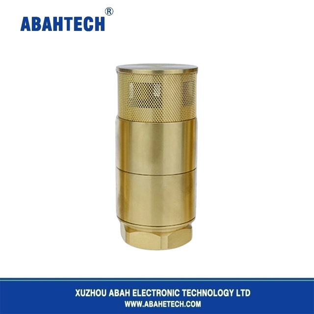 Double Door Copper Foot Valve