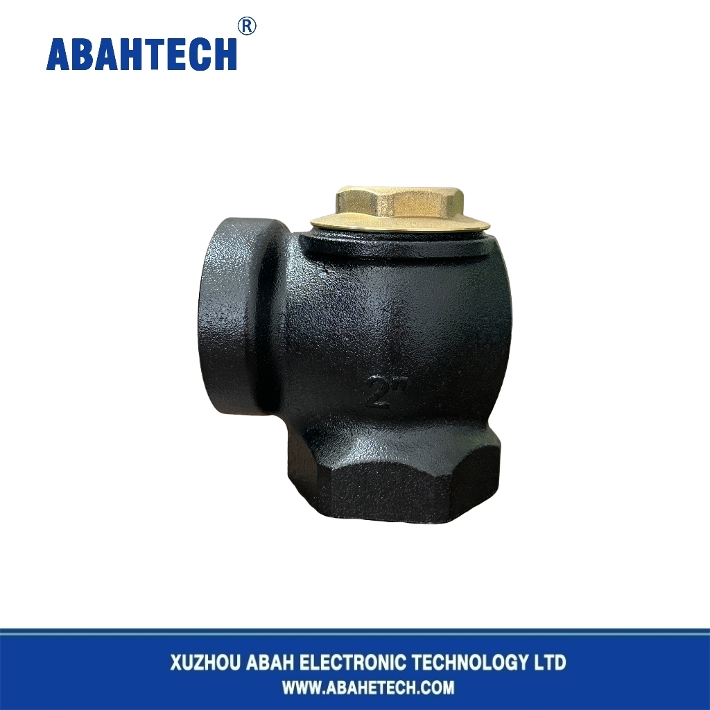 Black Iron Angle Check Valve