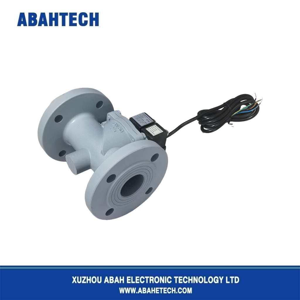 Stainless Steel Fuel Solenoid Valve 24v High Pressure Solenoid Valve