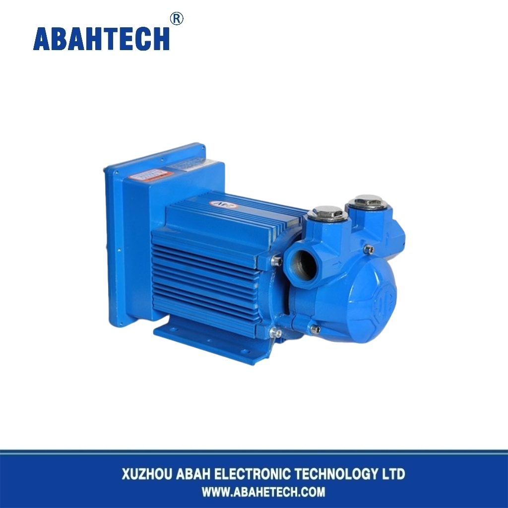 Big Flow 220 V 380 V Benzin -Methylentransferpumpe