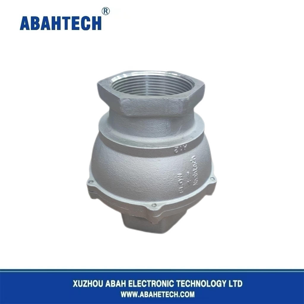 Check Valve