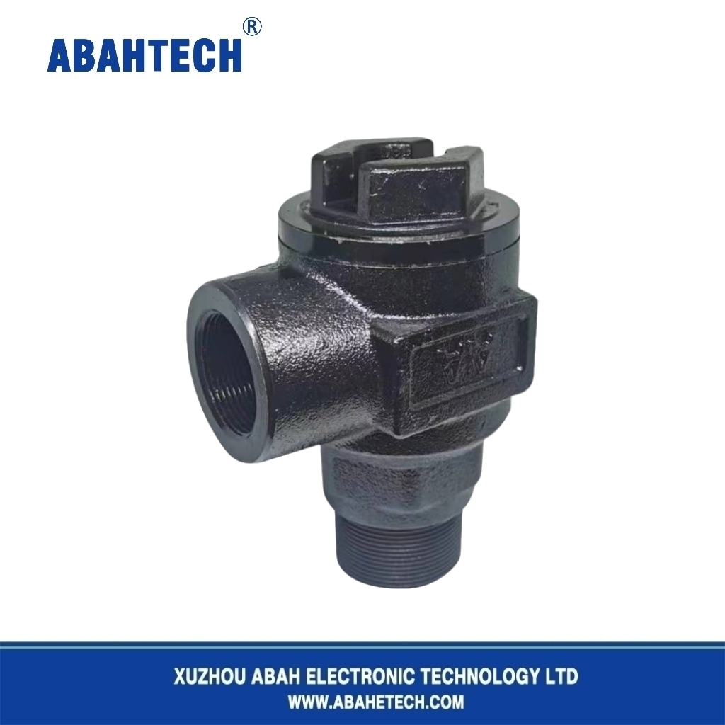 French Type Angel Check Valve