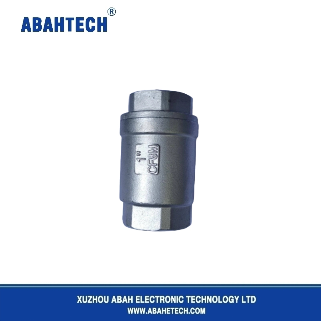 Spring Loaded Check Valve