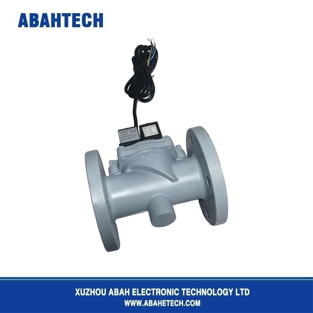 Stainless Steel Fuel Solenoid Valve 24v High Pressure Solenoid Valve