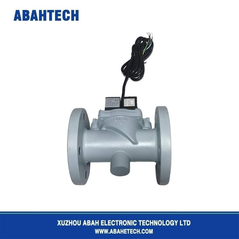 Stainless Steel Fuel Solenoid Valve 24v High Pressure Solenoid Valve
